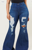 Curvy Distressed Jeans