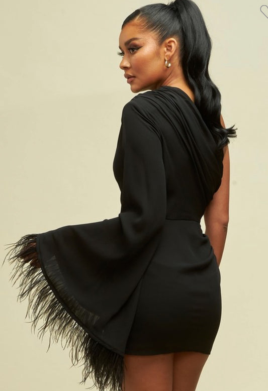 Black Mini