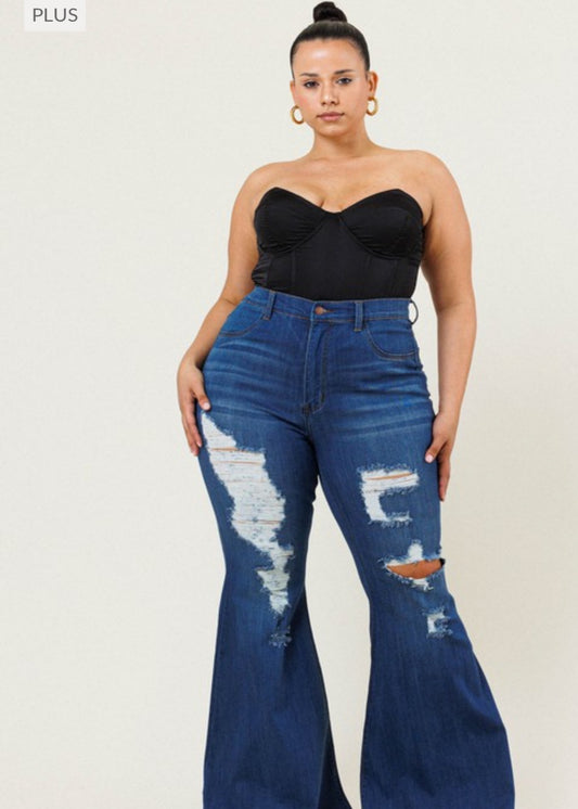 Curvy Distressed Jeans